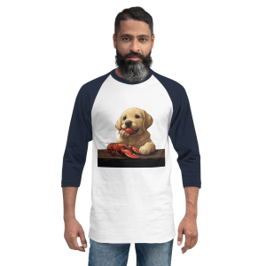 3/4 sleeve raglan shirt